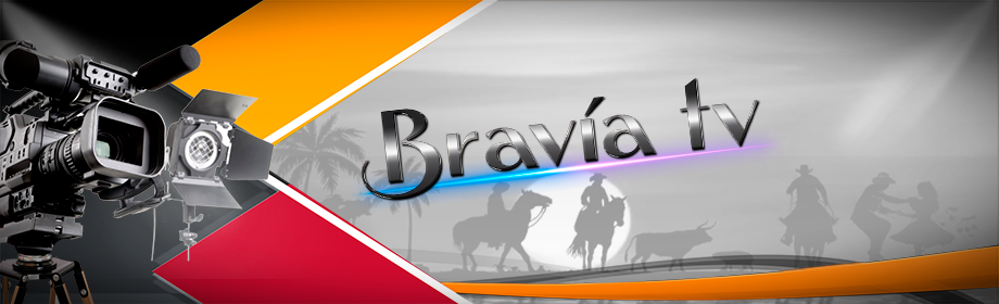 Bravia TV