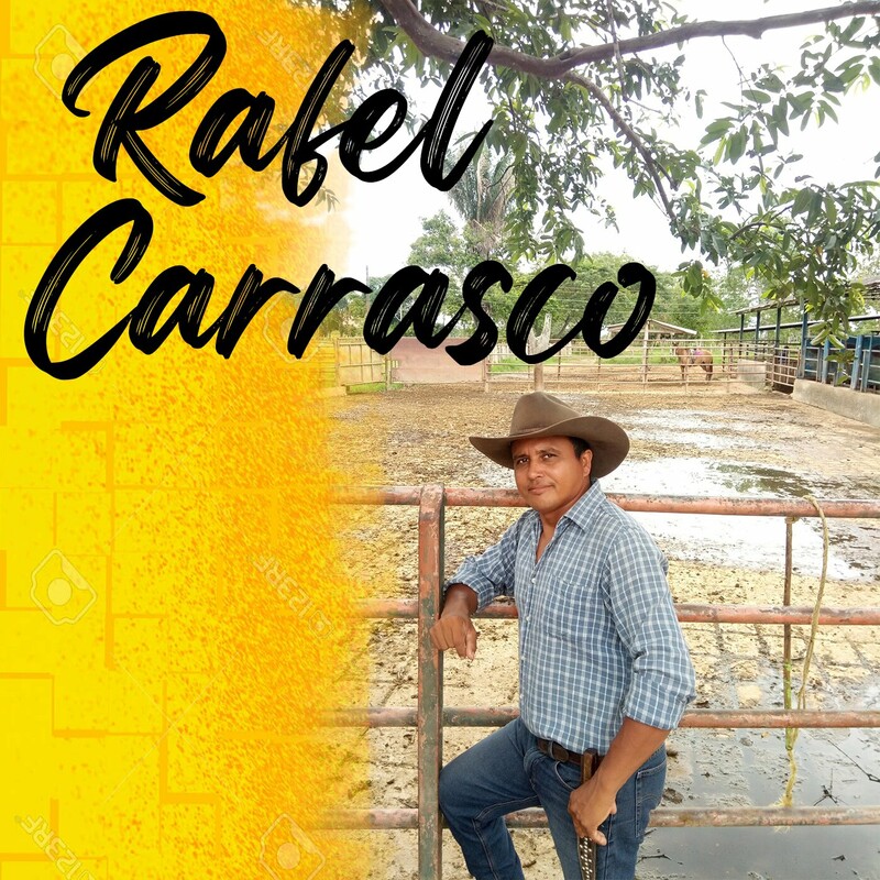 Rafael Carrasco  - Exitos