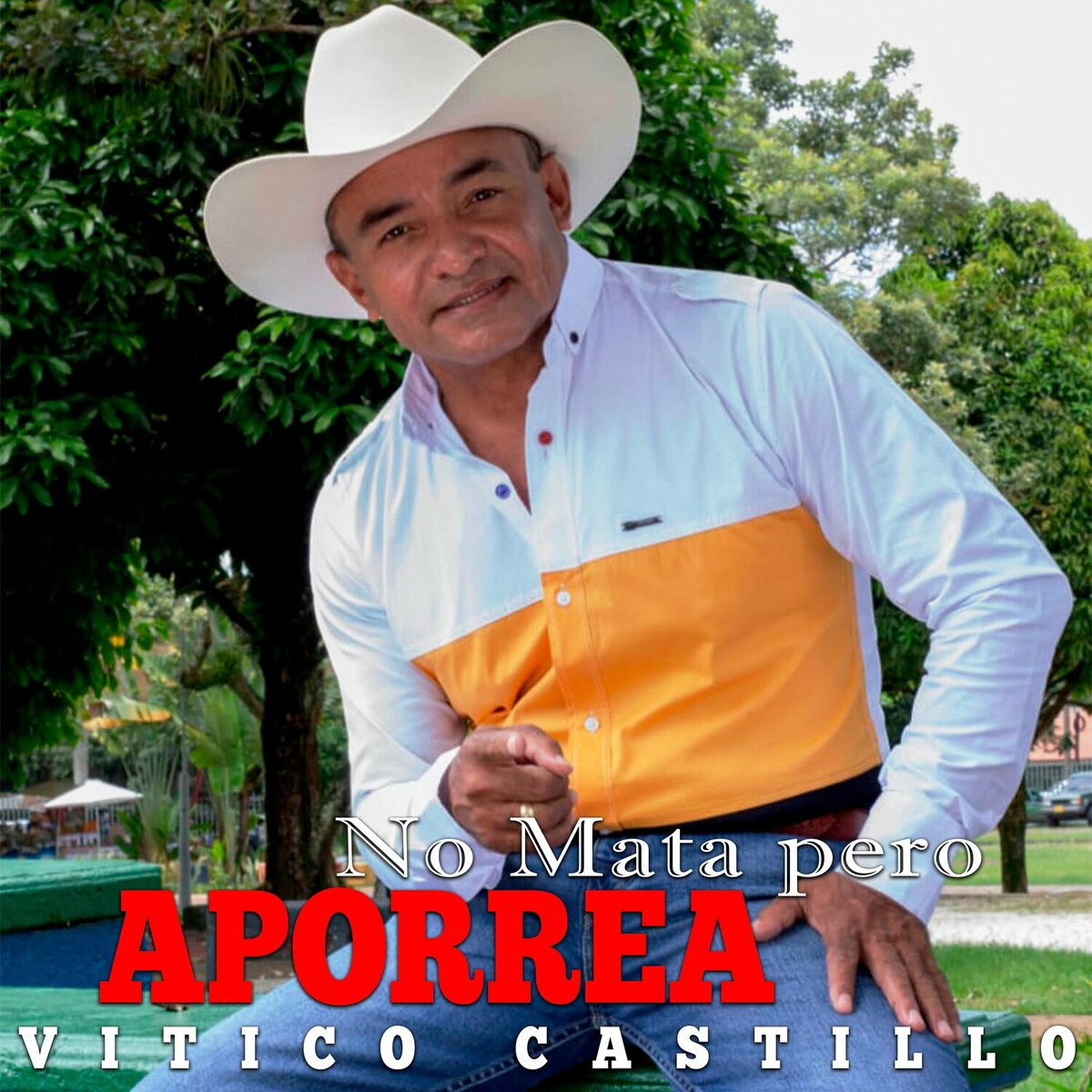 Vitico Castillo - no mata pero aporrea